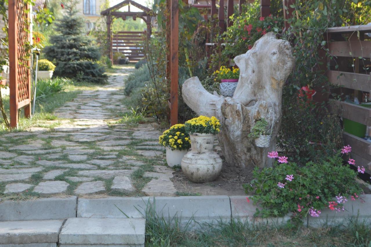 Cabane de lemn Costinesti Exterior foto