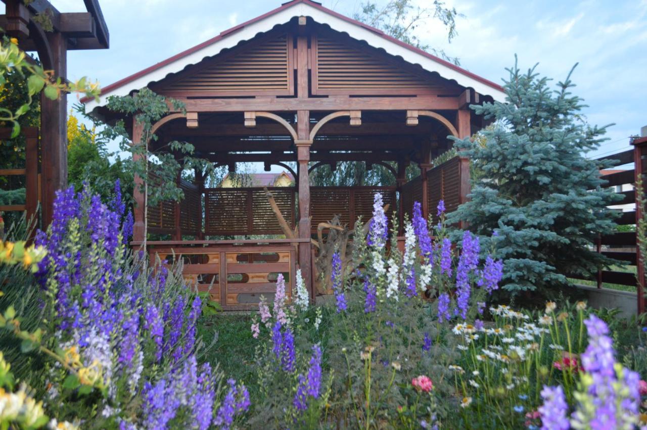 Cabane de lemn Costinesti Exterior foto