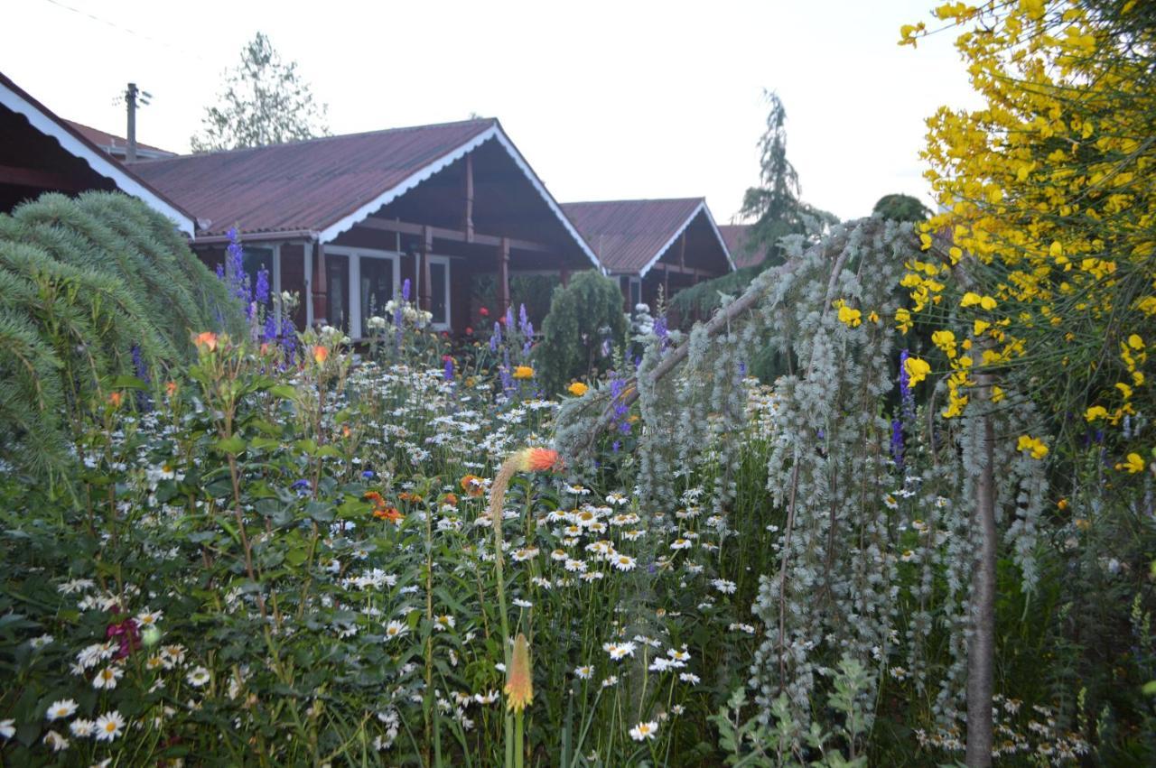 Cabane de lemn Costinesti Exterior foto